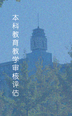 國務院互聯網+督查